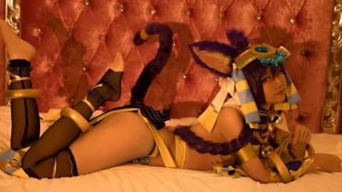 全网视频免费播放入口免费